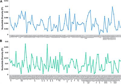 Identification of Medicinal Bidens Plants for Quality Control Based on Organelle Genomes